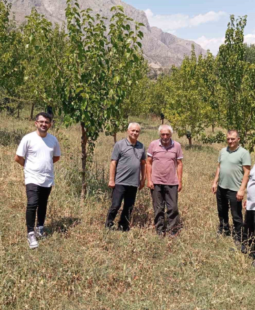 74 yaşındaki Kemaliyeli öğretmen 19 bin ağacı toprakla buluşturdu