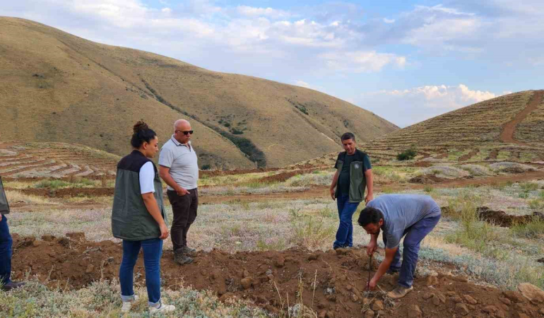 Ayatay, Çayırlı Ve Otlukbeli̇de Yapılan Çalışmaları Yeri̇nde İnceledi̇