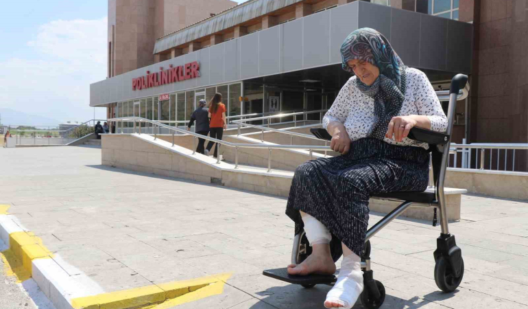 Başıboş Köpekleri̇n Saldırısına Uğrayıp Yaralanan Kadın Dehşet Anlarını Anlattı