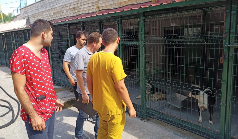 Bilecik’te hayvan barınaklarında denetimler yapıldı