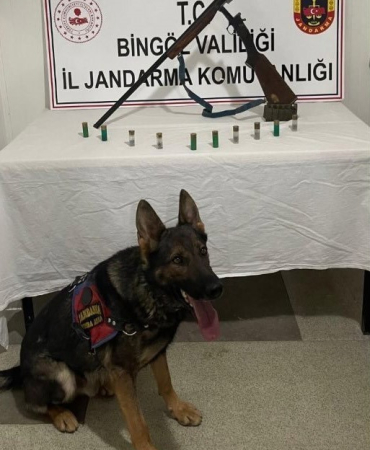 Bi̇ngölde Kaleşni̇kof Ve Yi̇vsi̇z Av Tüfeği̇ Ele Geçi̇ri̇ldi̇