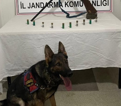 Bi̇ngölde Kaleşni̇kof Ve Yi̇vsi̇z Av Tüfeği̇ Ele Geçi̇ri̇ldi̇