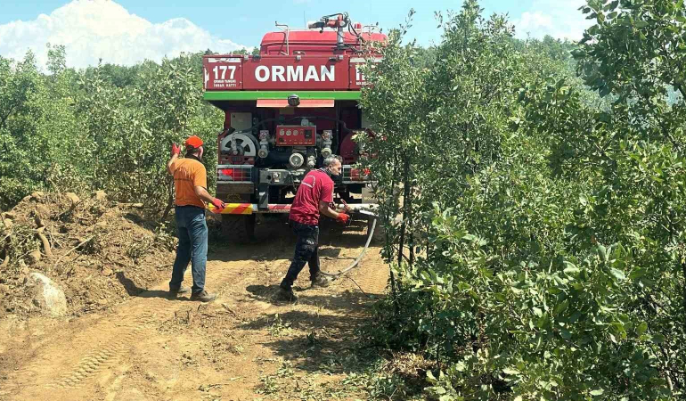 Bi̇ngöldeki̇ Orman Yangını Erken Müdahaleyle Büyümeden Söndürüldü