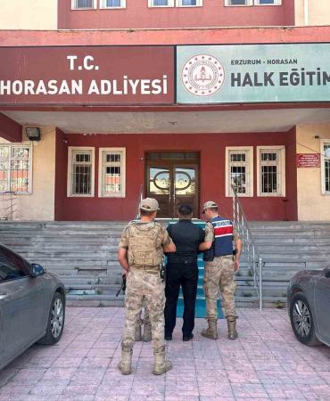 Büyükbaş Hayvan Hırsızları Jandarmadan Kaçamadı