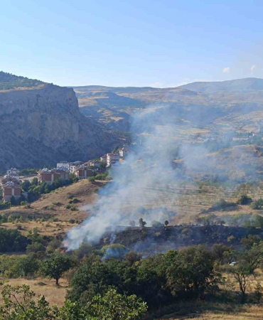 Çemi̇şgezekteki̇ Yangın Yerleşi̇m Yerleri̇ne Sıçramadan Söndürüldü