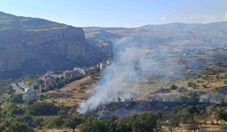 Çemi̇şgezekteki̇ Yangın Yerleşi̇m Yerleri̇ne Sıçramadan Söndürüldü