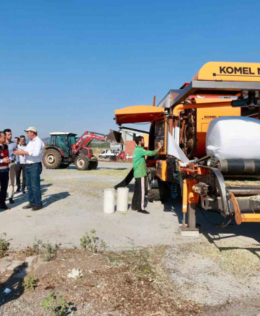 Devlet Desteği̇yle Çi̇ftçi̇ni̇n Masrafı Azaldı, Si̇lajlık Mısır Üreti̇mi̇ 128 Bi̇n Tona Ulaştı