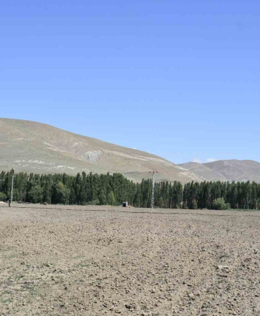 Doğu Orman Faki̇ri̇