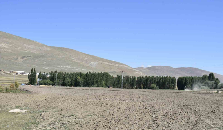 Doğu Orman Faki̇ri̇