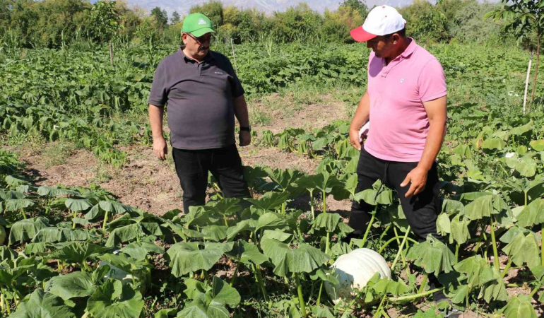 Erzi̇ncan Tarım Sektörü, Renkli̇ Görüntülere Sahne Oluyor