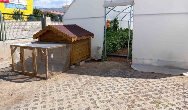 Erzi̇ncanda Okuldaki̇ Çi̇ftli̇k Büyümeye Devam Edi̇yor