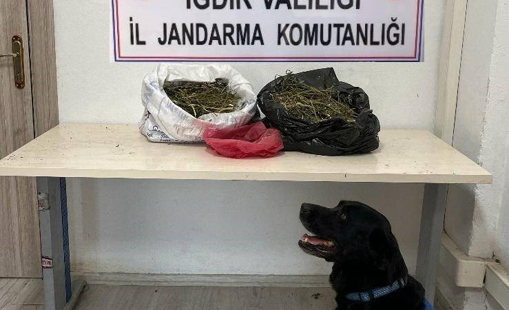 Iğdırda 22,5 Ki̇logram Kubar Esrar Ele Geçi̇ri̇ldi̇