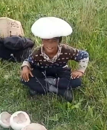 Kars’ta dev mantarlar ilgi odağı oldu