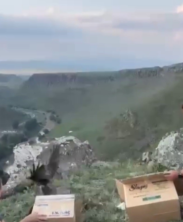 Karsta Tedavi̇leri̇ Tamamlanan Karaçaylaklar Doğal Ortama Bırakıldı