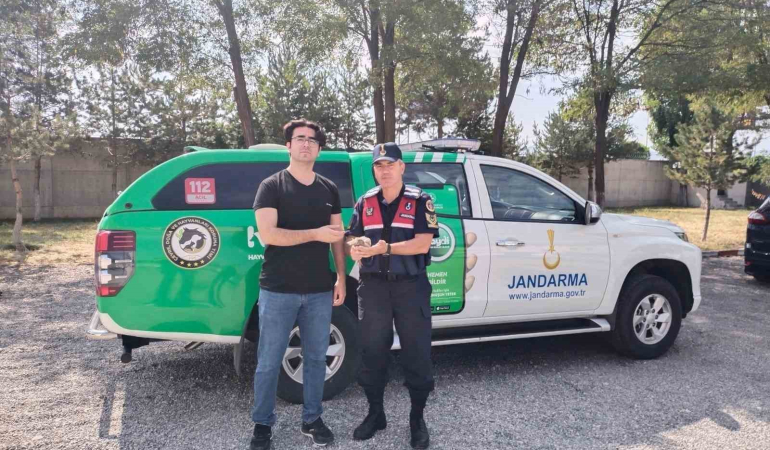 Kekli̇k Koruma Altına Alındı