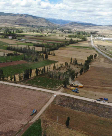 Kelkit’te buğday hasadı başladı, yağışlar rekolteyi olumsuz etkiledi