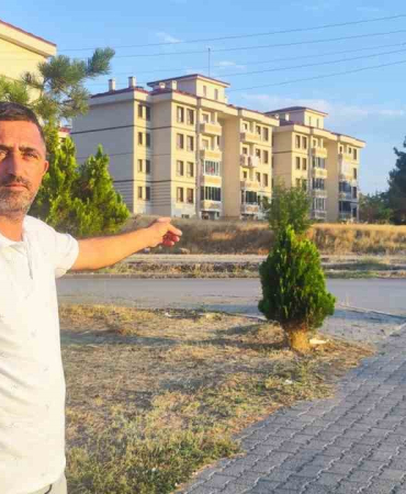 Sokakta Görüldü Hayrete Düşürdü