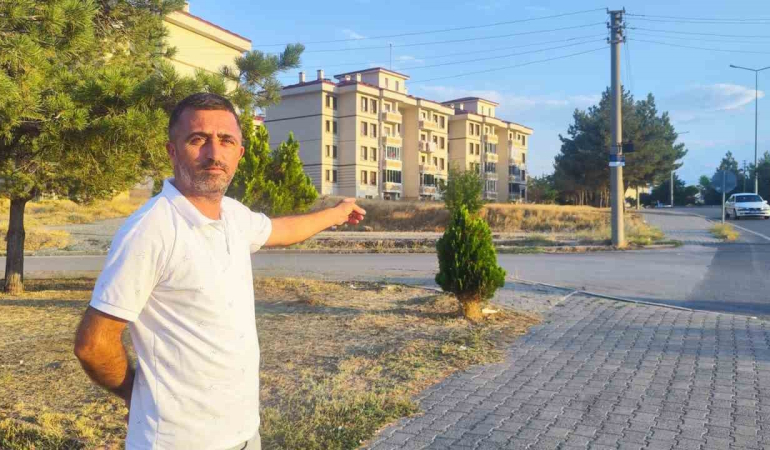 Sokakta Görüldü Hayrete Düşürdü