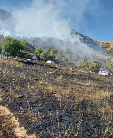 Tunceli̇de Mezarlıkta Başlayan Yangın Ormana Sıçradı