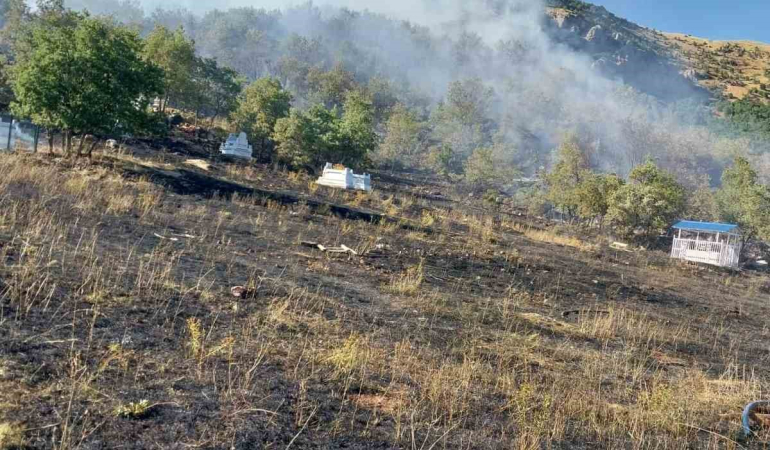 Tunceli̇de Mezarlıkta Başlayan Yangın Ormana Sıçradı
