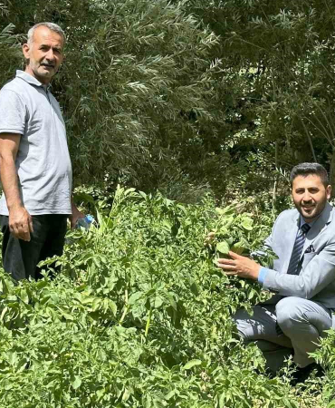 Yüksekova’da patateste iyi verim bekleniyor