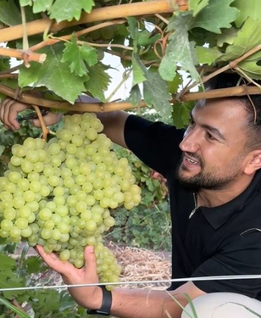 5 Ki̇loluk Üzüm Salkımı Görenleri̇ Hayretler İçeri̇si̇nde Bıraktı