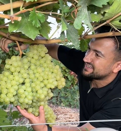 5 Ki̇loluk Üzüm Salkımı Görenleri̇ Hayretler İçeri̇si̇nde Bıraktı