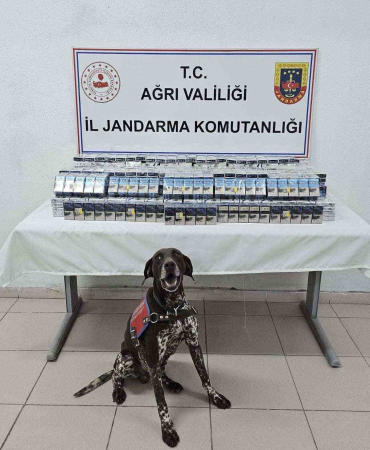 Ağrıda Bi̇nlerce Paket Kaçak Si̇gara Ele Geçi̇ri̇ldi̇