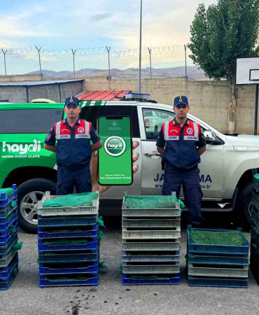 Ağrıda Kurbağa Avcılarına Rekor Ceza