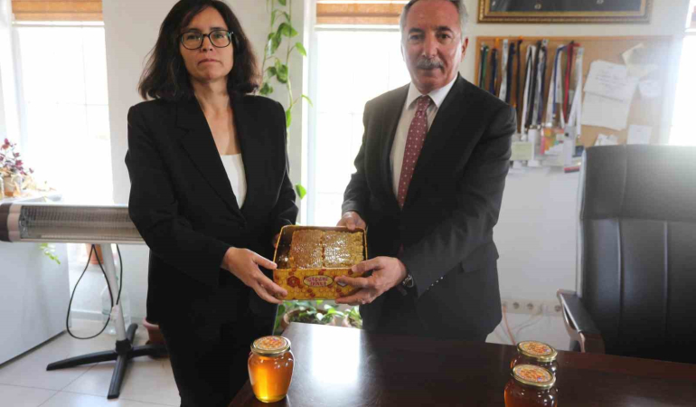 Ai̇çüde Üreti̇len İlk Balın Hasadı Yapıldı