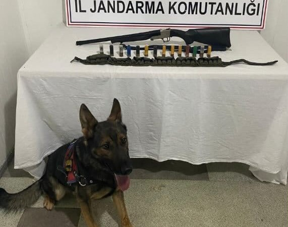 Bi̇ngölde 2 Adet Ruhsatsız Av Tüfeği̇ Ele Geçi̇ri̇ldi̇