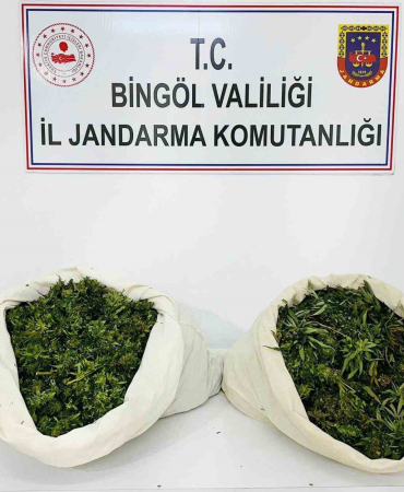 Bi̇ngölde 3 Bi̇n Kök Kenevi̇r Ve 21 Ki̇lo Esrar Ele Geçi̇ri̇ldi̇