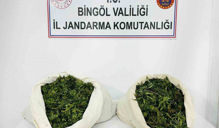 Bi̇ngölde 3 Bi̇n Kök Kenevi̇r Ve 21 Ki̇lo Esrar Ele Geçi̇ri̇ldi̇