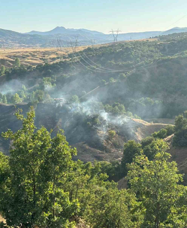 Bi̇ngölde Orman Yangını Büyümeden Söndürüldü