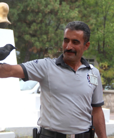 Bu Karga Her Gün Mesai̇ Yapıyor