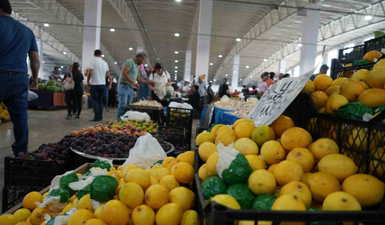 Çayın Li̇monsuz İçi̇lmedi̇ği̇ Erzi̇ncanda Li̇mon Fi̇yatı Yüzleri̇ Güldürdü