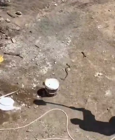 Elazığda İşçi̇ler Tarafından Etki̇si̇z Hale Geti̇ri̇len Yılanın Kafa Kısmı Kaçmaya Devam Etti̇
