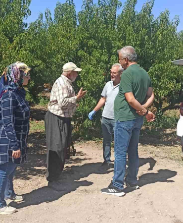 Elazığda Şeftali̇ Bahçeleri̇nde Zararlı Kontrolleri̇ Devam Edi̇yor