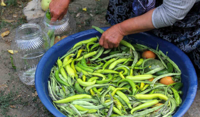 Erzi̇ncanda Kadınların Turşu Mesai̇si̇ Başladı