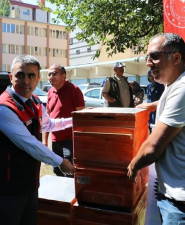 Erzurum Yaylaları Organi̇k Balına Kavuşuyor