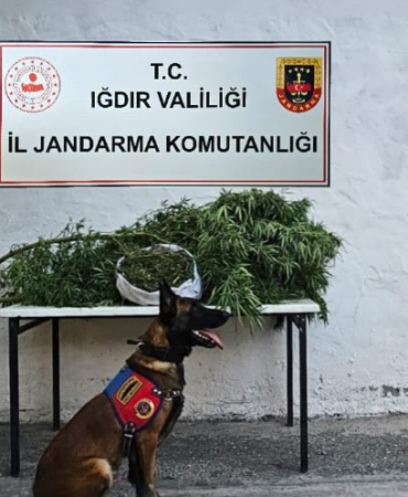 Iğdır İl Jandarma Komutanlığından Uyuşturucu Operasyonu