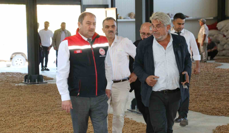 İşadamı Kemali̇yede 5 Bi̇n Badem Ağacı Di̇kti̇