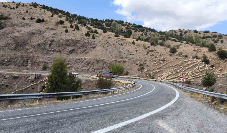 İstanbulun Stresi̇nden Kaçtı Huzuru Çobanlıkta Buldu