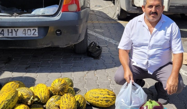 Karpuz Gi̇bi̇ Patlıcan