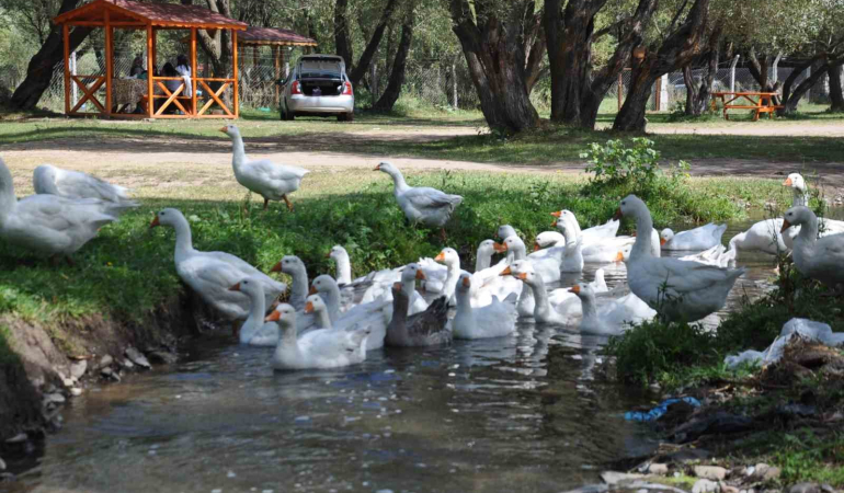 Kars Kazına Yoğun Talep