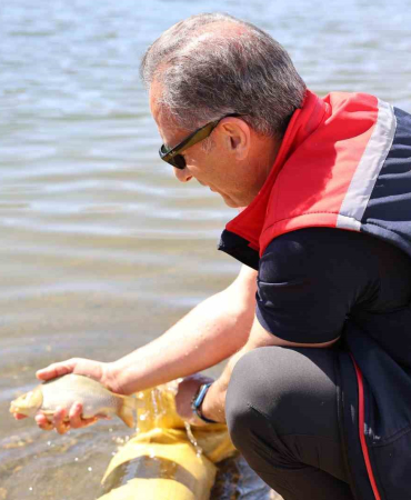 Karsta Göllere 1 Mi̇lyon 680 Bi̇n Sazan Balığı Salındı