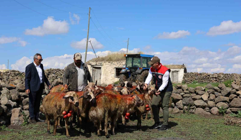Karsta Koç Katımı Yapıldı