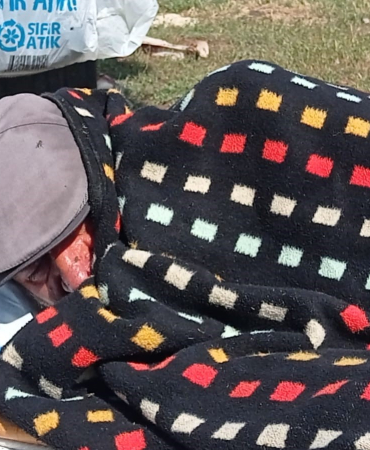 Karsta Yaşlı Adam 20 Gündür Sokakta Yatıyor