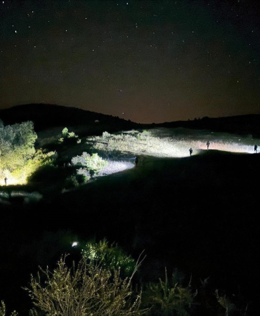 Kayıp Olarak Aranıyordu, Asılı Halde Bulundu