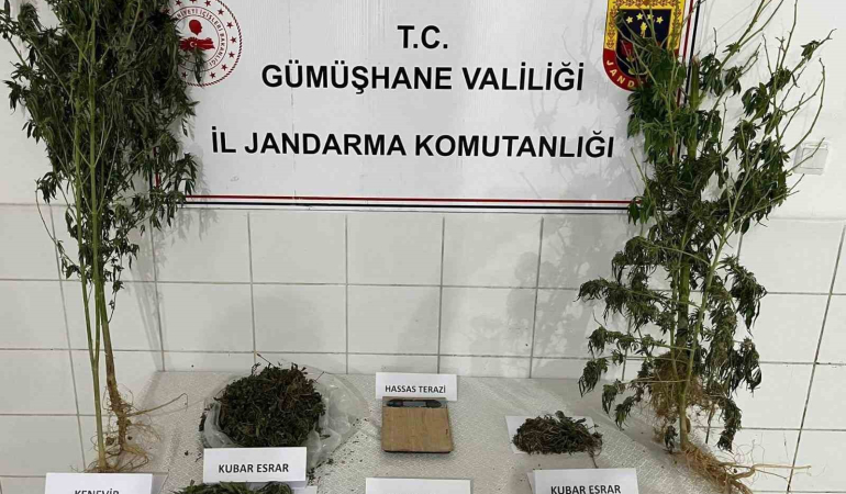 Kenevi̇ri̇ Hasat Ederken Yakalandı